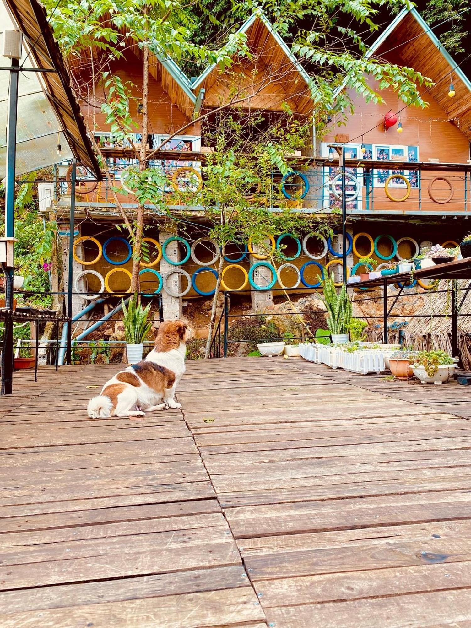 Homestay Gau Smile - Moc Chau Son La Buitenkant foto